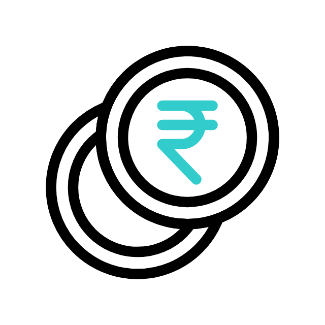 Rupee icon
